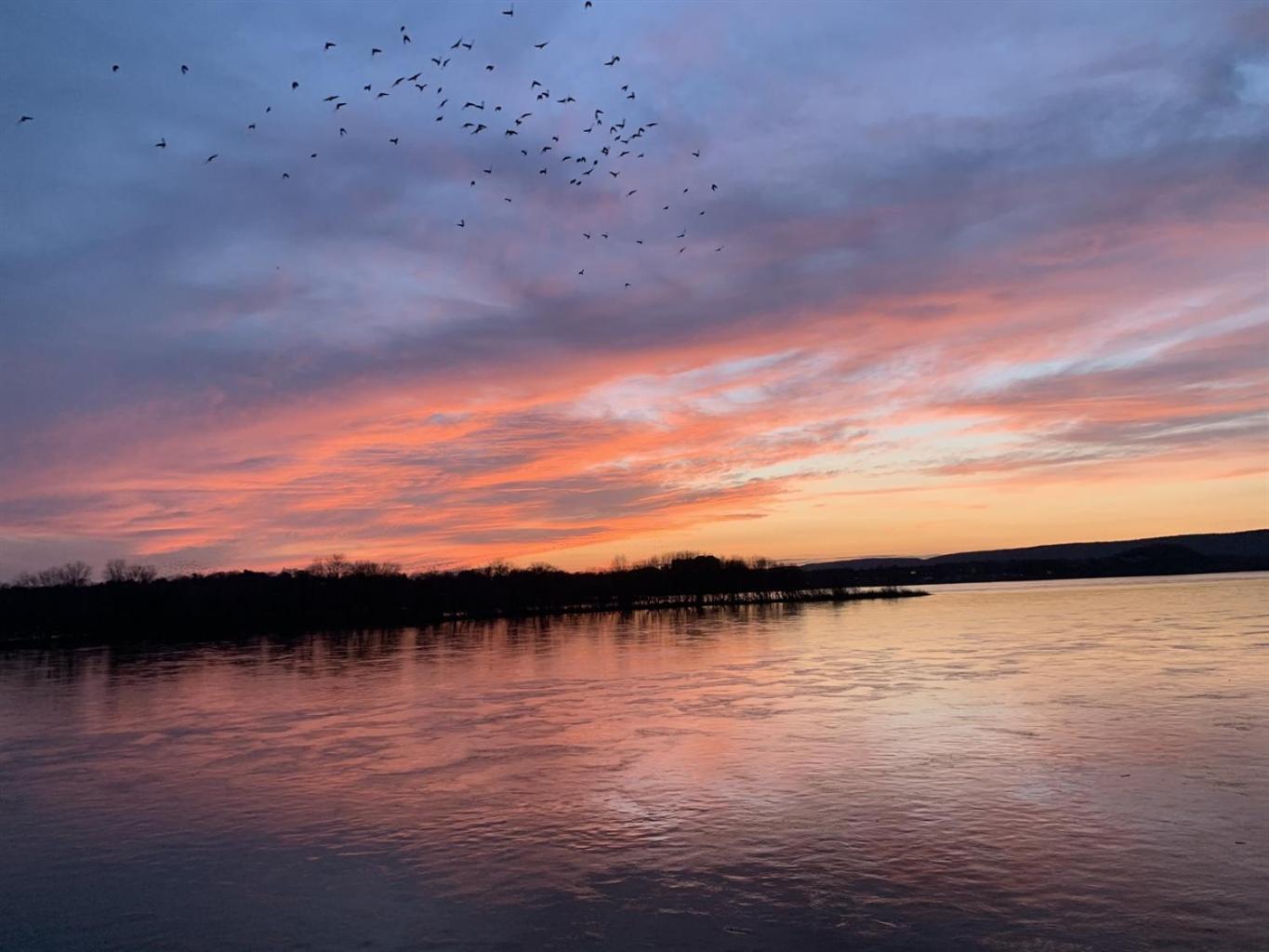 هاريسبرج Burgbnb Riverfront المظهر الخارجي الصورة